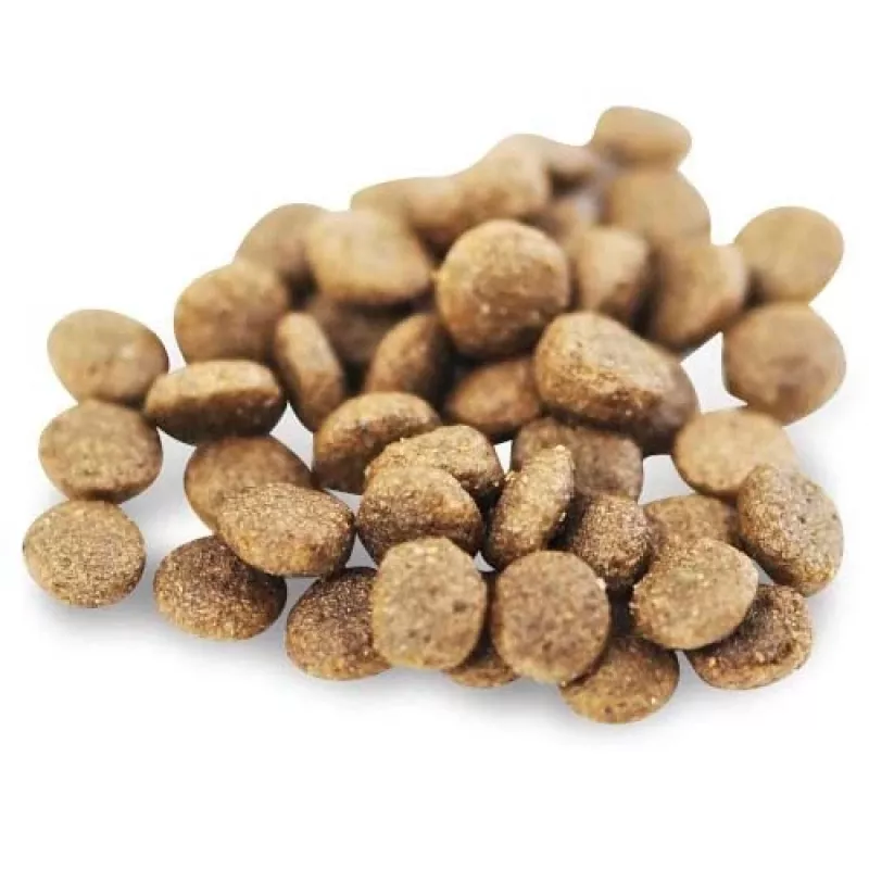 Sausas šunų maistas FISH4DOGS Superior Senior S Salmon — senjorams mažoms veislėms, 1,5 kg, 22% baltymų, 7% riebalų