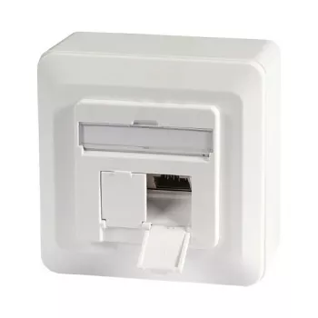 EFB-Elektronik Duomenų lizdas Cat.6A 500MHz viršuje/apačioje, paviršinis montavimas, 2xRJ45, RAL9010 (ET-25133AV5-R)
