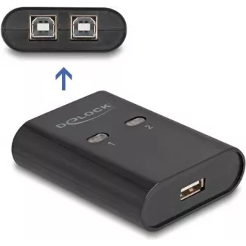 DeLOCK USB 2.0 periferinių įrenginių perjungiklis