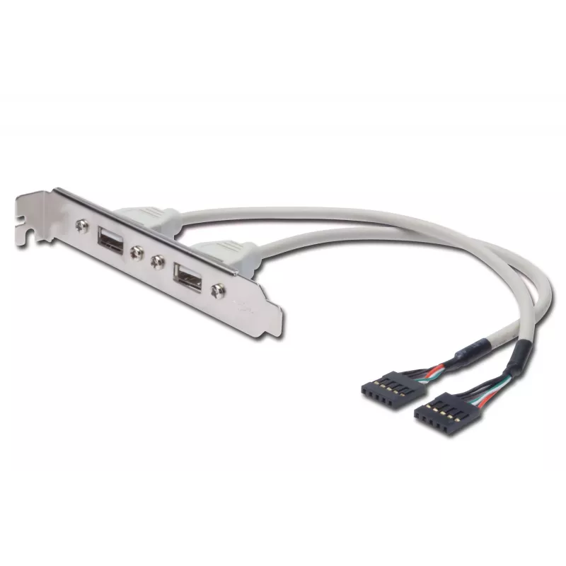 USB lizdo juostos kabelis Digitus AK-300301-002-E