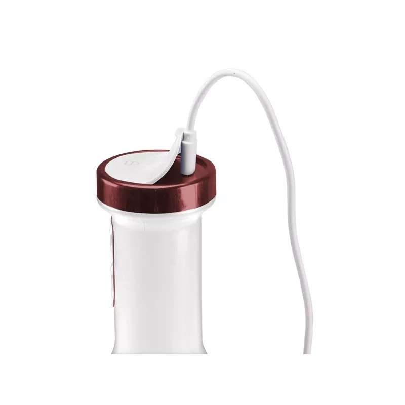 Blenderis Beper P102FRU300