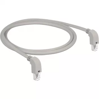 Tinklo kabelis DeLOCK 85877 Cat6a S/FTP 1m Pilka