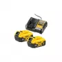 Baterijų ir įkroviklio rinkinys DeWALT DCB1104P2 18 V 5.0 Ah (2 baterijos, įkroviklis)