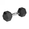 REBEL ACTIVE Guminiai ketaus svarmenys 2x8 kg