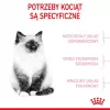 Sausas kačių ėdalas Royal Canin Kitten 4 kg su paukštiena