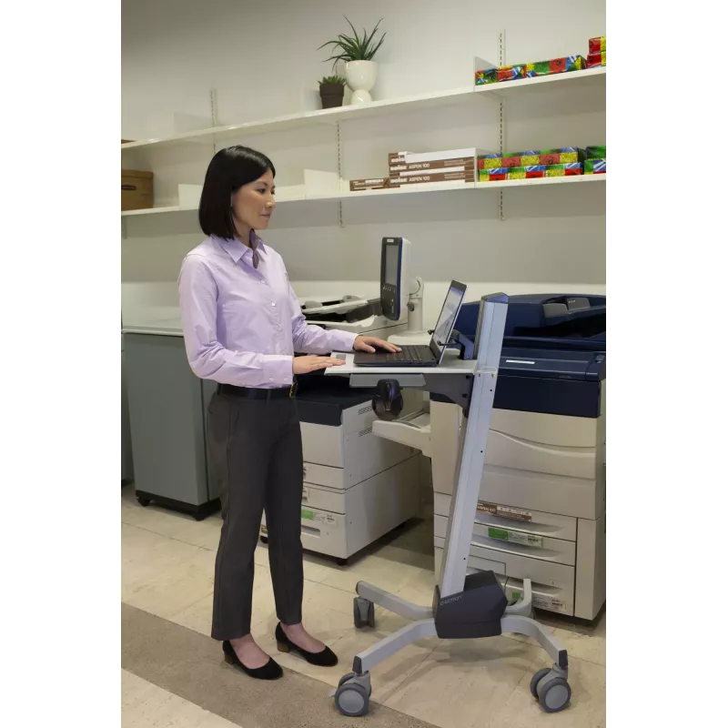 Multimedijos vežimėlis nešiojamam kompiuteriui Ergotron Neo-Flex Laptop Cart
