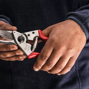 Felco | Kairiarankės genėjimo žirklės | FELCO 16