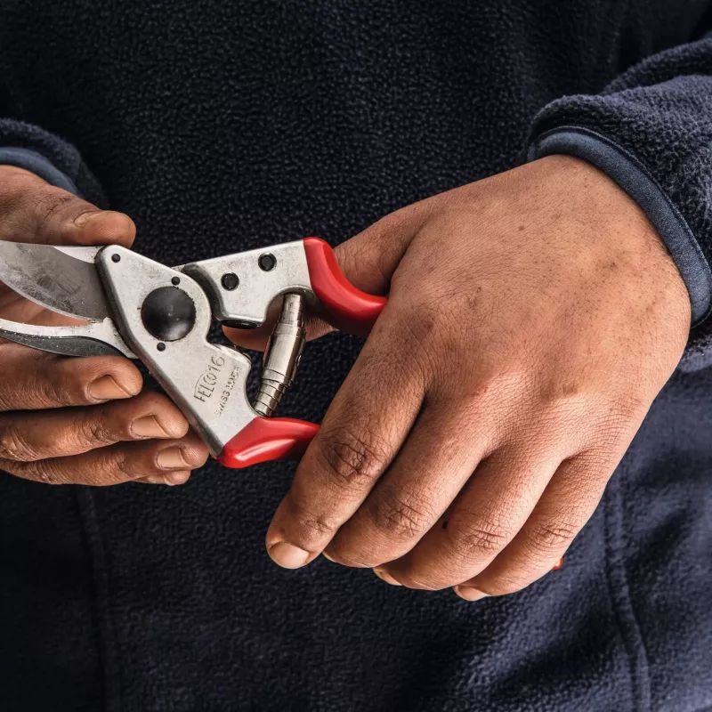Felco | Kairiarankės genėjimo žirklės | FELCO 16