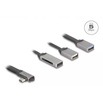 DeLOCK 64303 USB 3.2 Gen 1 Type-C USB centras 5000 Mbit/s pilkas