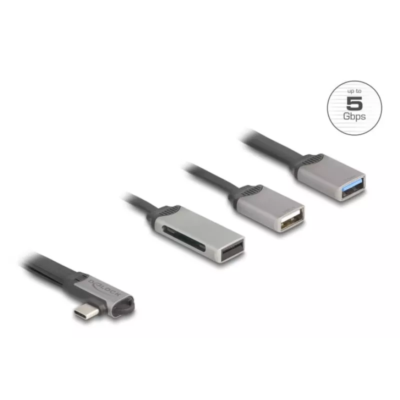 DeLOCK 64303 USB 3.2 Gen 1 Type-C USB centras 5000 Mbit/s pilkas