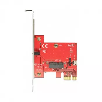 Vidinis M.2 adapteris DeLOCK 89889
