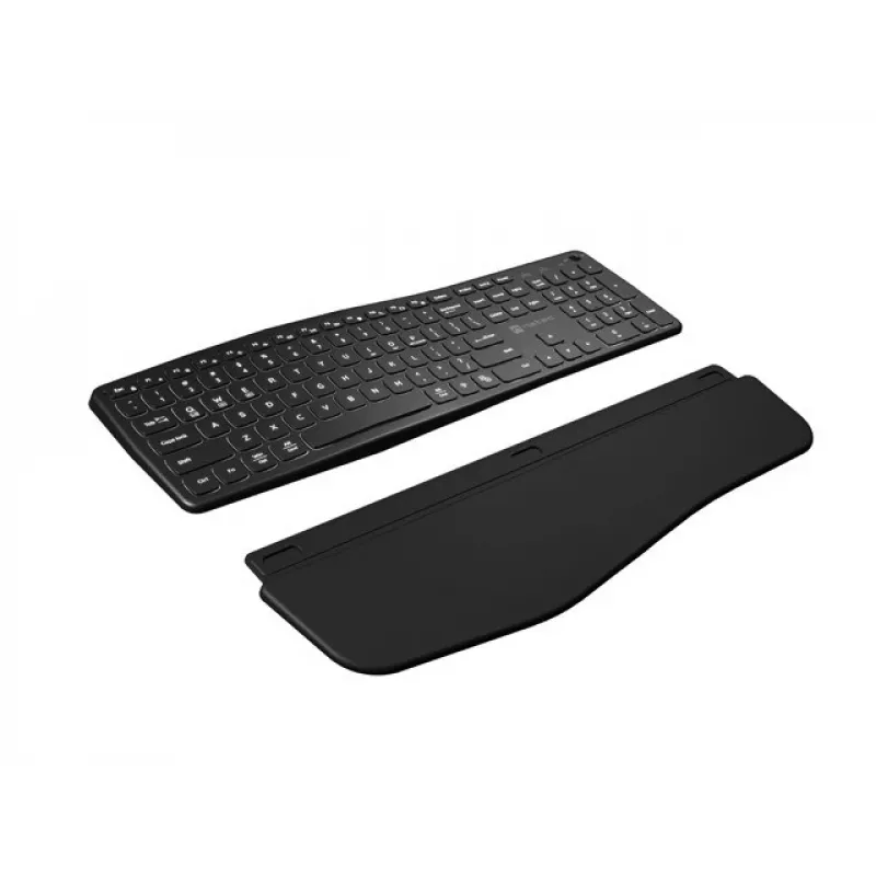 NATEC PORIFERA klaviatūra biurui ir namams belaidė Bluetooth QWERTY US International juoda