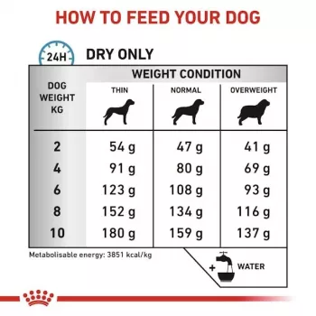 Sausas šunų ėdalas Royal Canin Anallergenic Small – hipoalerginis maistas mažiems suaugusiems šunims, 3 kg, mėsos skonis, be glitimo ir cukraus