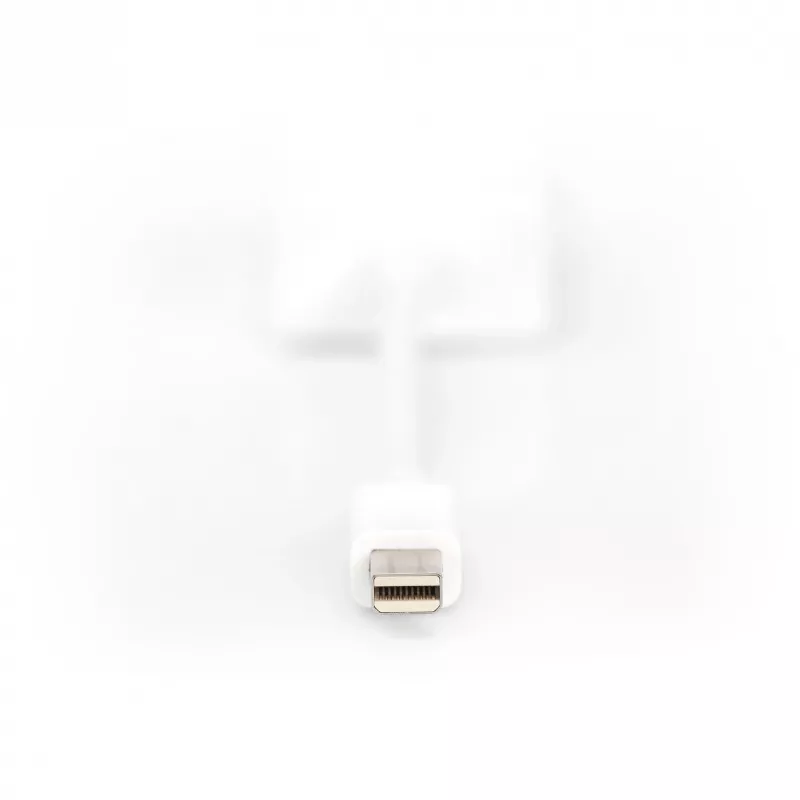 DisplayPort adapterio laidas Digitus DB-340407-001-W