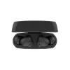 Ausinės Belkin SoundForm Rhythm