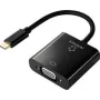 Renkforce RF-4679564 vaizdo kabelis-adapteris 0,1 m USB Type-C VGA (D-Sub) juodas (RF-4679564)