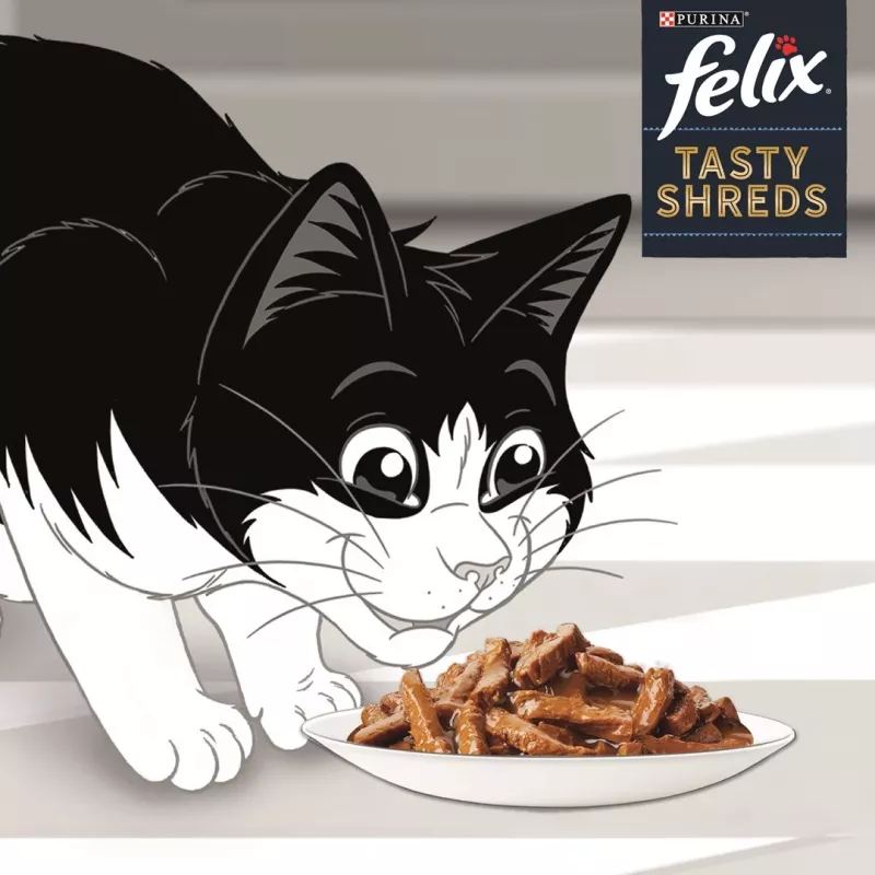 FELIX Tasty Shreds su lašiša ir tunu - 4x 80 g