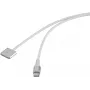 USB laidas Renkforce RF-6437916 baltas