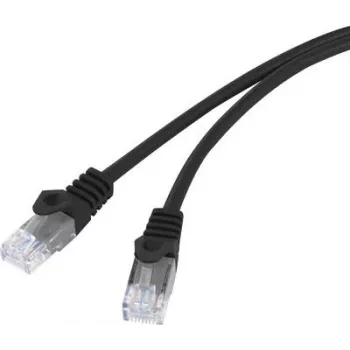 BASETech BT-1717480 tinklo kabelis juodas 10 m Cat5e U/UTP (UTP)