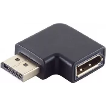 Lyties keitiklis DisplayPort ShiverPeaks BS10-78003