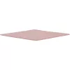 Termo tarpinė Thermal Grizzly Minus Pad 8 - 100 x 100 x 1,0 mm, 2 vnt.