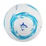 Kamuolys futbolo White Shark TB-001 Dribbler 32-panel dydis 5