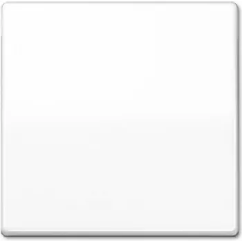 Sieninis jungiklio pavara JUNG AS 591 WW balta