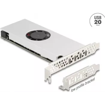 PCI Express x16 kortelė DELOCK 4× USB 20 Gbps Type-C keturių kanalų