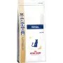 Sausas kačių ėdalas Royal Canin Renal Adult 2 kg – paukštienos skonis