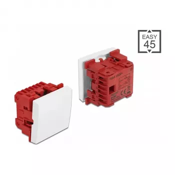 Jungiklis mygtukinis DELOCK Easy 45 2P 250V 10A Baltas, 45×45×37 mm