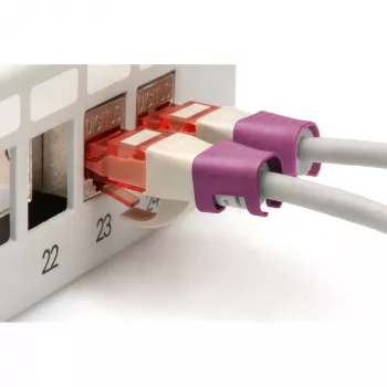 Digitus A-CC-MG Ethernet Patch Laidas Magenta