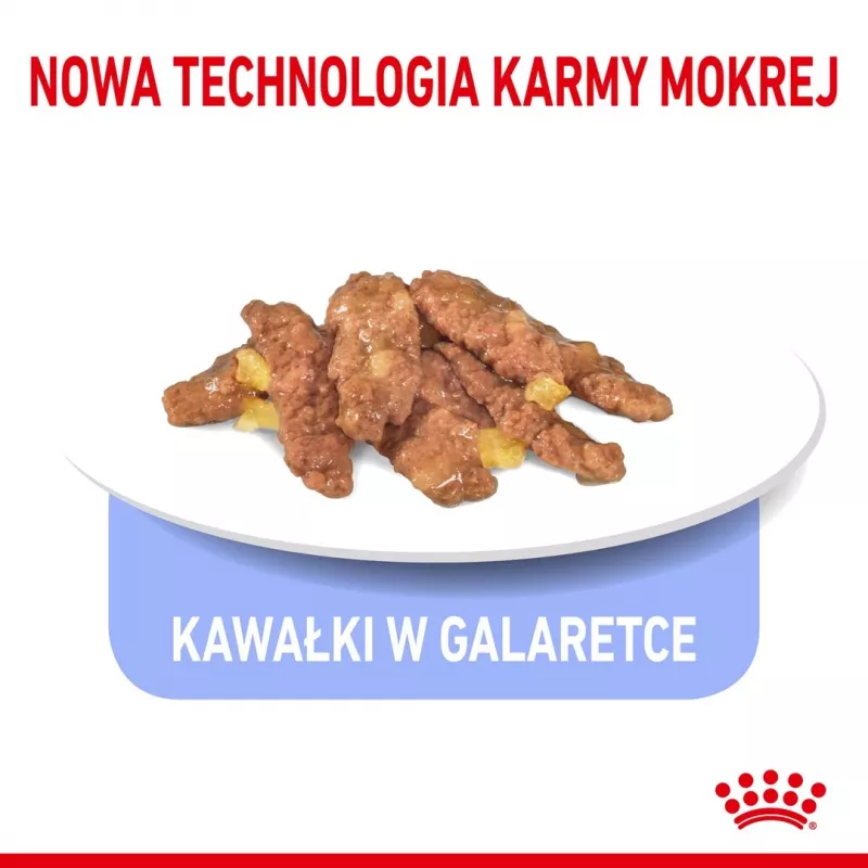 Šlapias kačių ėdalas Royal Canin Indoor Sterilized 85 g pakuotė – suaugusioms sterilizuotoms katėms, paukštienos skonis, dėžutė 12 x 85 g