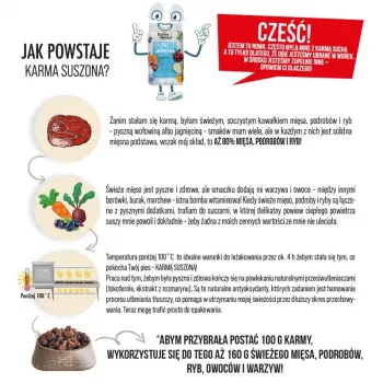 DOLINA NOTECI Premium Beef - sausas šunų ėdalas - 3kg
