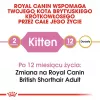 Sausas kačių ėdalas Royal Canin British Shorthair Kitten 2 kg – vištiena, 38% baltymų, 20% riebalų, augimo formulė