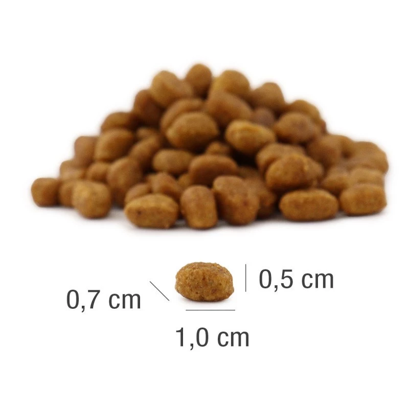 Platinum MeatCrisp Adult Fish sausas maistas suaugusioms katėms, 1,5 kg