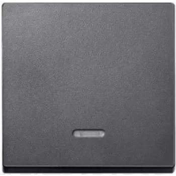 MERTEN EL SM 431014 - System M, svirtis, kontrolinis langelis, antracitas, matinis (431014)
