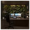 JAPANNEXT JN-IPS275K-HSPC9 27 colių 5K IPS LED monitorius