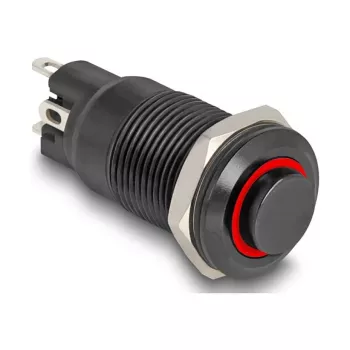 Mygtukinis jungiklis DELOCK 22014, 12 mm, 12 V