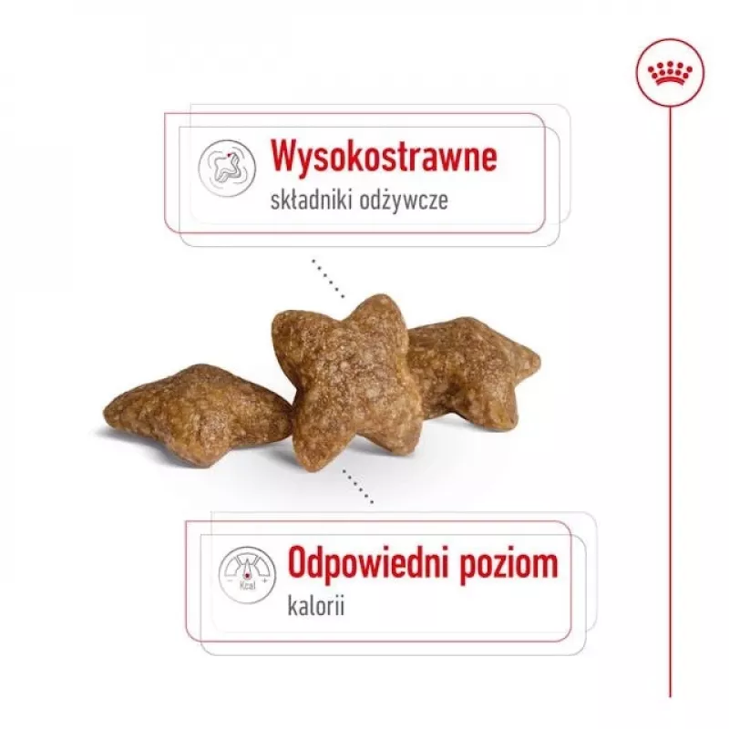 ROYAL CANIN Adult Mini S - sausas šunų ėdalas - 2kg