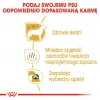 Royal Canin Maltese Adult sausas šunų maistas, 1,5 kg