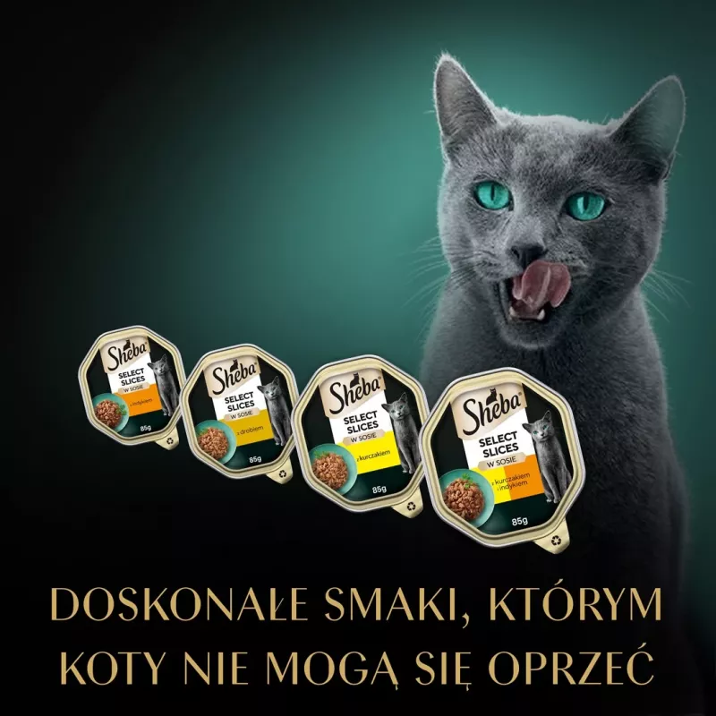 Šlapias kačių maistas Sheba padėkle Padažas Paukštiena (vištiena, kalakutiena) 32 x 85 g padėklas