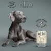 OLLO Pure Horse šlapias šunų ėdalas - 400 g
