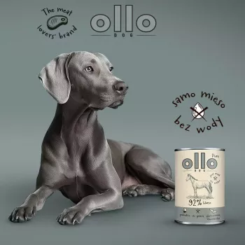 OLLO Pure Horse šlapias šunų ėdalas - 400 g