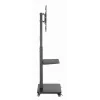 Gembird TVS-75S-02 TV grindinis stovas su ratukais, 37–75 col., juodas