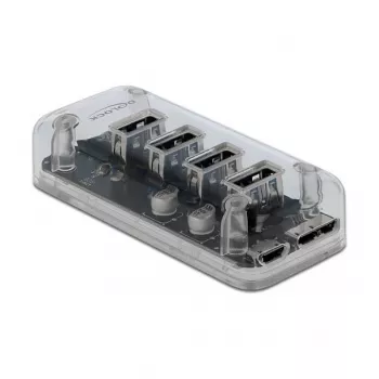 USB mazgas DeLOCK 64087 Skaidrus