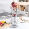 Blenderis Salter EK5531MMSVDE su stiklo ąsočiu