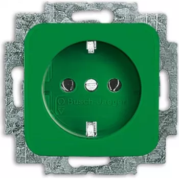 Busch-jaeger 2CKA002011A1326 Green – originalus BUSCH-JAEGER gaminys