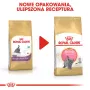 Sausas kačių ėdalas Royal Canin British Shorthair Kitten 2 kg – vištiena, 38% baltymų, 20% riebalų, augimo formulė