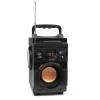 Squeak Bassblaster Bluetooth 5.1 garsiakalbis, FM radijas, MP3 grotuvas SQ1001