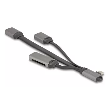 DeLOCK 64303 USB 3.2 Gen 1 Type-C USB centras 5000 Mbit/s pilkas
